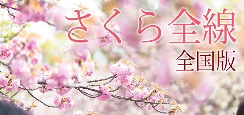 さくら全線全国版